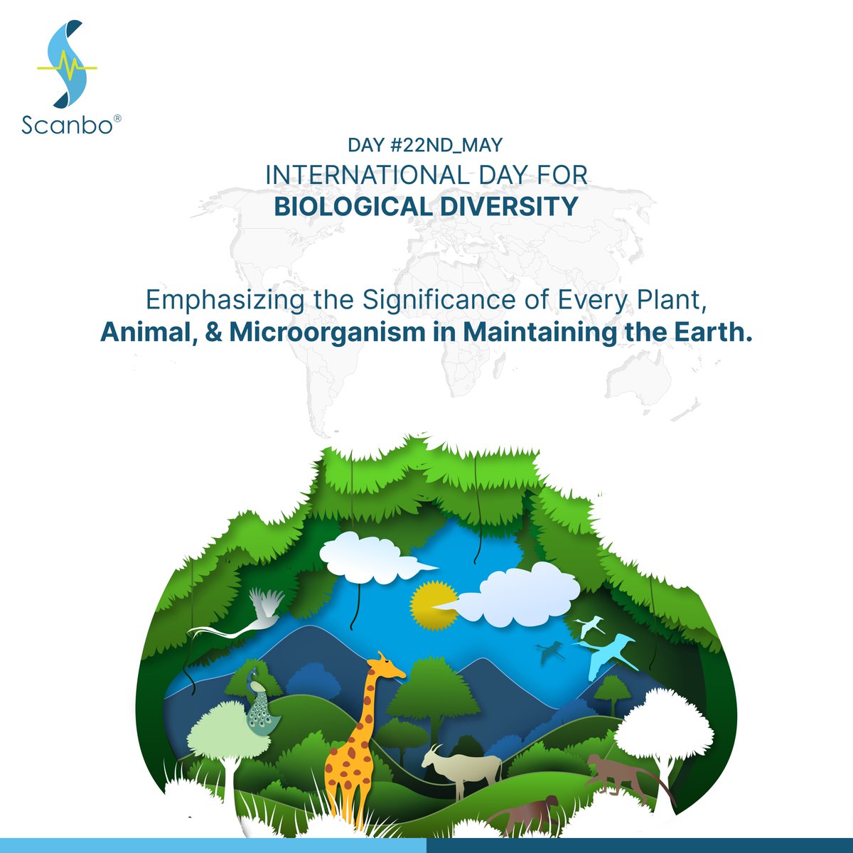 ScanboOfficial's tweet image. Let's recommit to safeguarding the web of life that sustains us all. Together, we can ensure a thriving, biodiverse planet for generations to come.
#BiodiversityDay #Scanbo #MedTech #Biotech #Blockchain #Quantum_Computing #AI