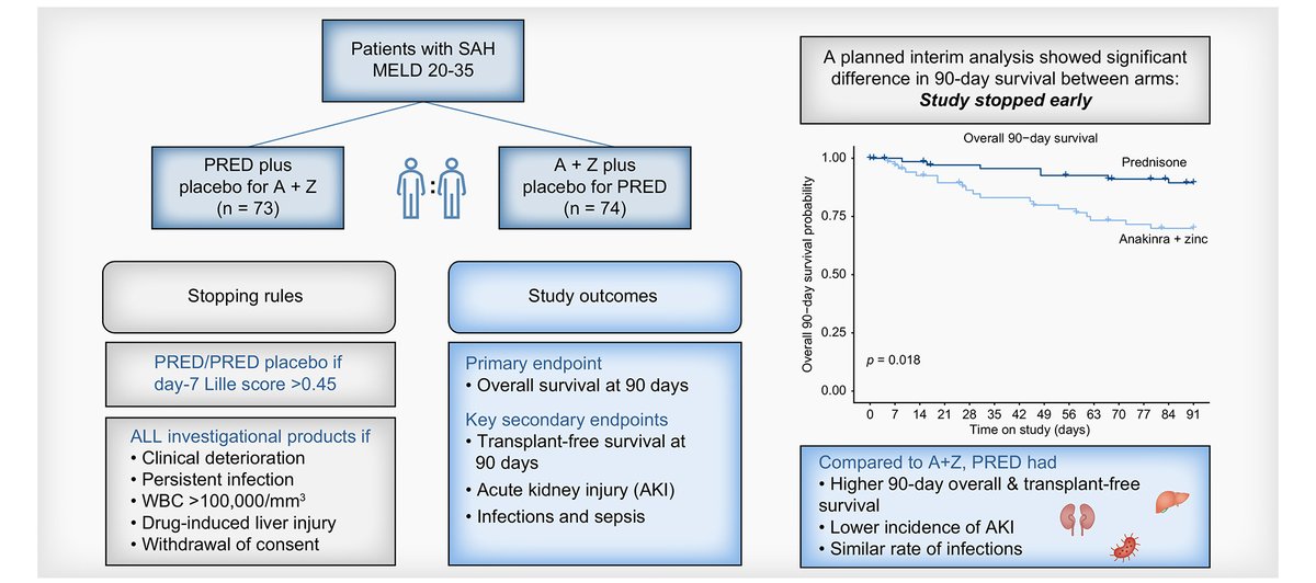 See our results testing ANAKINRA (IL-1b antagonist) plus Zinc, in alcohol-associated hepatitis: 🔸Increase mortality 🔸Favors AKI Blocking inflammatory cytokines may have deleterious effects in these patients. journal-of-hepatology.eu/article/S0168-… @EASLedu @JHepatology #livertwitter