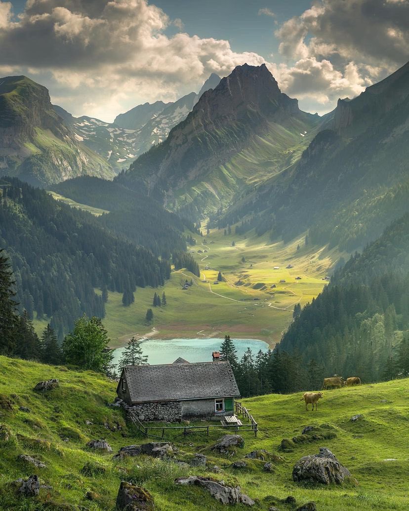 archi_tradition's tweet photo. Capturing the Beauty of Switzerland 🧵

1. Appenzell Innerrhoden
📸:@ilhan1077_ https://t.co/FaotTatgpG