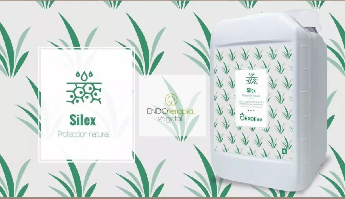 Silex es un producto nutricional compuesto por aminoácidos y silicio soluble. Actúa potenciando la absorción de silicio, elemento que se deposita en las hojas de las plantas proporcionando un gran efecto anti estrés.  Silex es un producto de origen 100% natural.
#EXOline