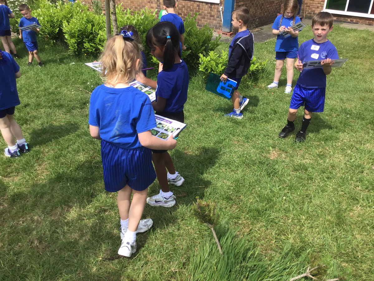 StPPPrimaryY1's tweet photo. In Science, we could name a range of different trees. We also discussed the difference between deciduous and evergreen trees π²π³
#year1 #science #terrifictrees @StPPPrimary https://t.co/2tLqeIzypl