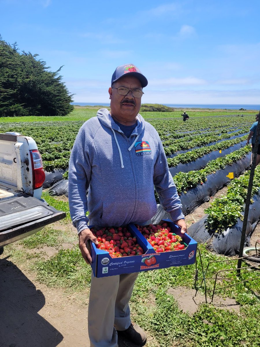 Santiago's 69 years and works at Swanton Berry in Santa Cruz CA under a UFW contract. He shares: I'm happy today because I just applied to receive a pension from the UFWs pension plan. Cesar Chavez planned ahead so farm workers are taken care of when we get old. #WeFeedYou