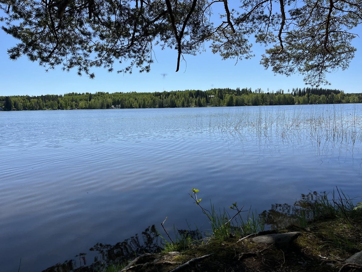 @boost_stn kehitämme ekologisen kompensaation työkaluja. Nyt tutkimme sitä, miten olemassaoleva luontoselvitystieto korreloi kompensaatiolaskennassa tarvittavan ekologisen tilan arvion kanssa. Tänään sitä @LahdenKaupunki metsissä. @uniofjyvaskyla @jyuscience @Akatemia_STN 1/2