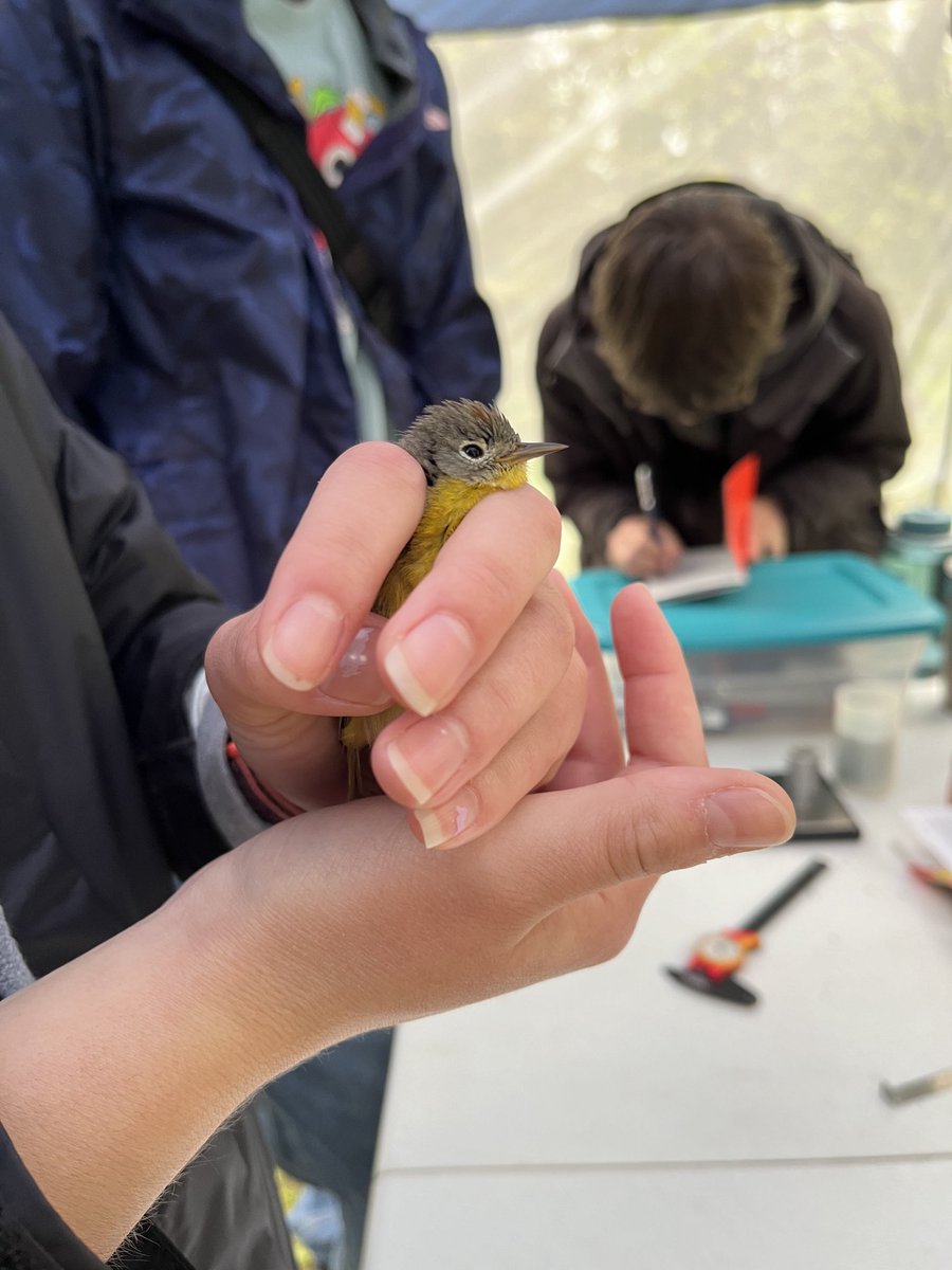 Itasca Biological Station & Labs tweet media