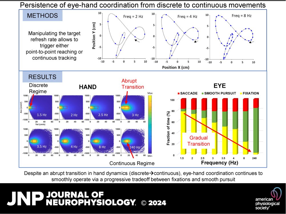 👁️🖐️'Eye-hand coordination all the way: from discrete to continuous hand movements' by Adrien Coudiere and Frederic R. Danion ow.ly/gTBM50RElFa #EyeHandCoordination #ManualTracking #PointToPointReaching #SmoothPursuit #saccades