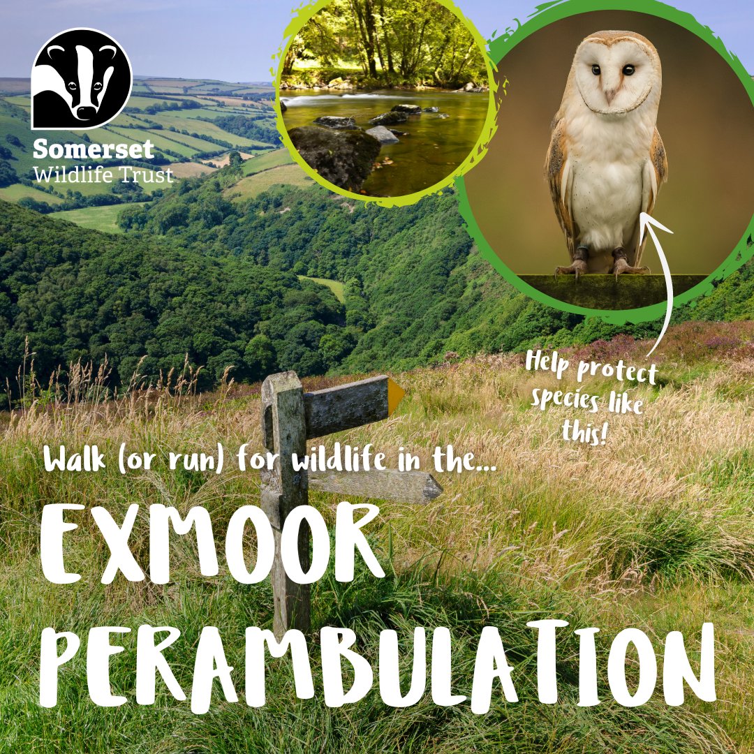 How far could you walk in a day? 👣 Take on the Exmoor Perambulation this June and walk 15 or 30 miles (the choice is yours!) while raising vital funds for Somerset's wildlife and wild places. Sign up today: somersetwildlife.org/support-us/fun… #Somerset #ChallengeYourselfForWildlife