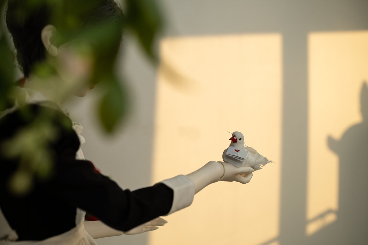 구구.. 구구구...