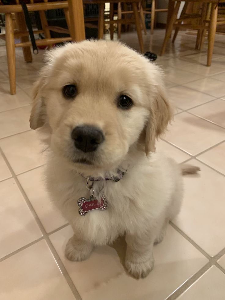 บอกว่าให้จุ้บเดียว                                  ก้คุน.. น่ารัก