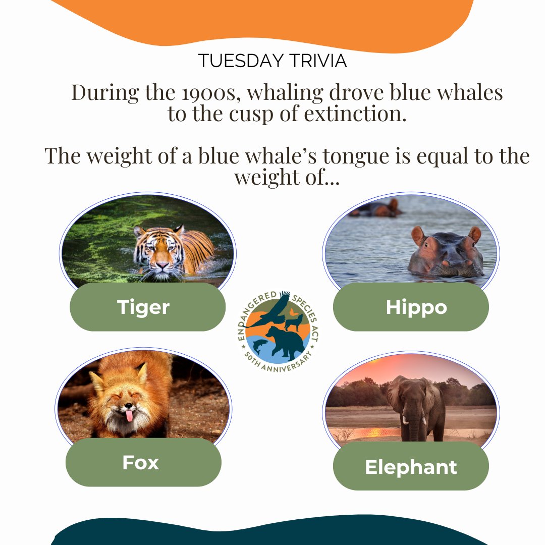 ESA at 50 tweet media