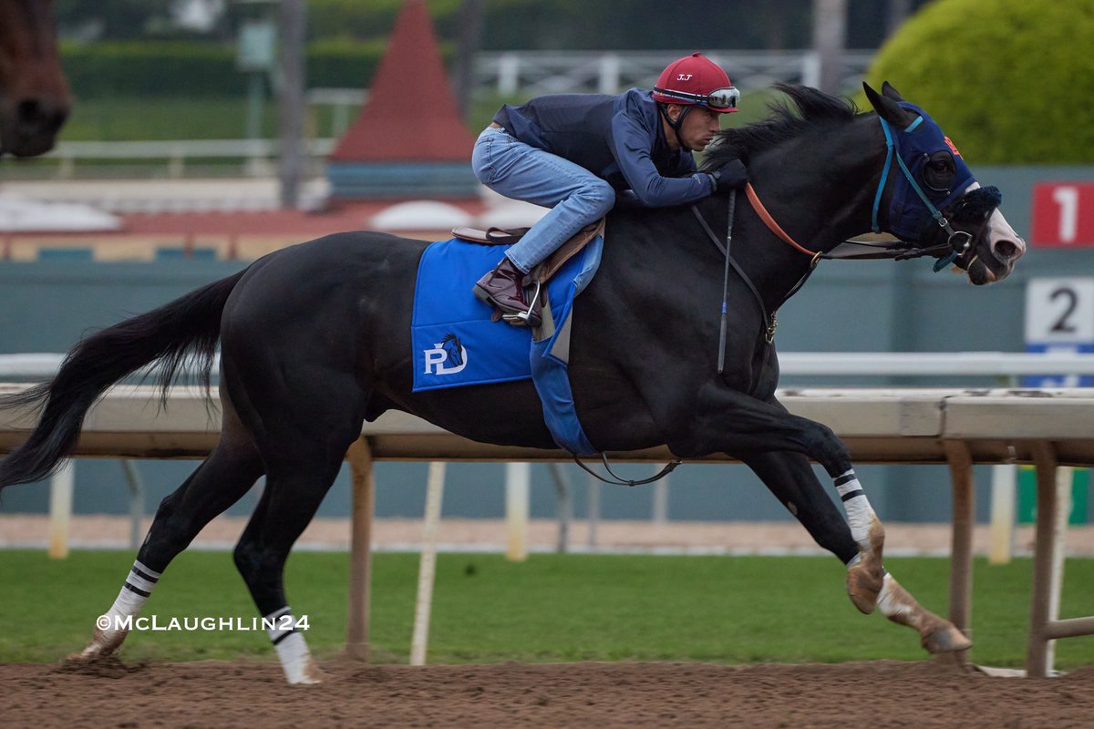 Newgrange worked 5F in 1:01.40 yesterday with Juan Hernandez in the irons for trainer Phil D'Amato @santaanitapark @lrfracing @RockinghamRanch @PhilDamato11 @JJHernandezS19