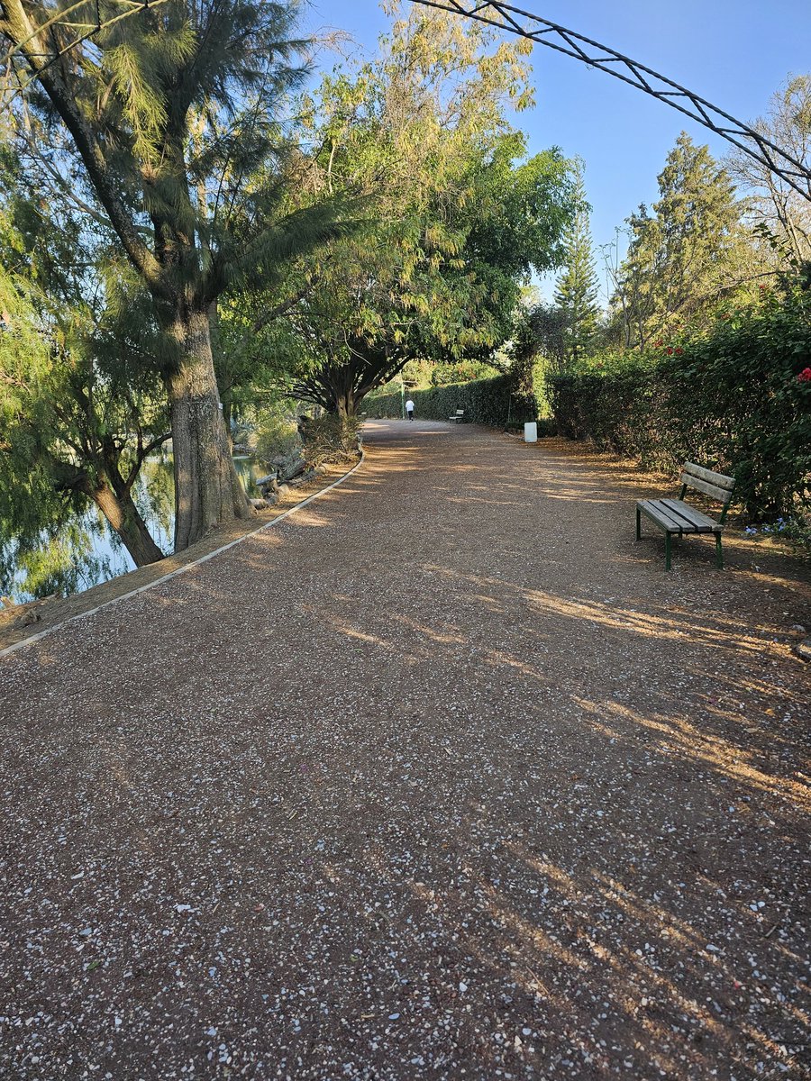 Antonio Alonso (@antonio36224467) on Twitter photo Sentir el amanecer es un privilegio que pocos tenemos 🏃🏃✌️🤟 #SomosFénixRun #CorrerEsVida @ComuniRunners <a href="/EntreRunners/">Entre Runners</a> <a href="/FenixRun_Mexico/">Fénix Run</a> <a href="/ManicomioRunner/">Manicomio Runner \m/ 🤪 \m/</a> <a href="/marathorunners/">Marathorunners</a> <a href="/yoelegicorrer1/">#Yoelegícorrer</a> <a href="/ReyLoborebelion/">La rebelión del rey Lobo</a> Sentir el amanecer es un privilegio que pocos tenemos 🏃🏃✌️🤟 #SomosFénixRun #CorrerEsVida @ComuniRunners <a href="/EntreRunners/">Entre Runners</a> <a href="/FenixRun_Mexico/">Fénix Run</a> <a href="/ManicomioRunner/">Manicomio Runner \m/ 🤪 \m/</a> <a href="/marathorunners/">Marathorunners</a> <a href="/yoelegicorrer1/">#Yoelegícorrer</a> <a href="/ReyLoborebelion/">La rebelión del rey Lobo</a>