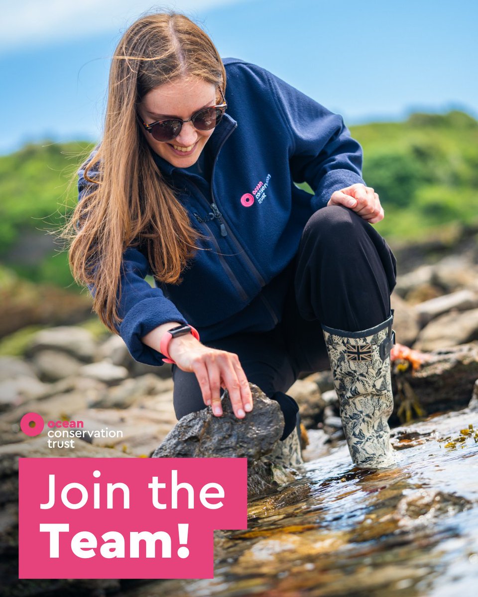 We are currently on the lookout for several dedicated individuals to join our team of Ocean Optimists! 🦀 Ocean Discovery Ranger Level 1 🤿 Ocean Discovery Ranger Level 2 🐠 Ocean Discovery Ranger Level 3 📝 Collaborative Doctoral Award studentship bit.ly/3ylabJh