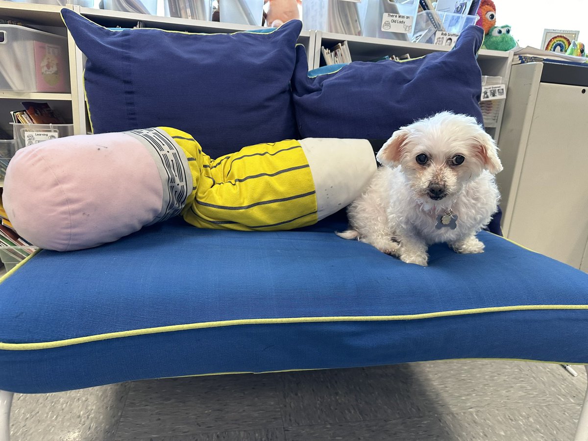 Jessica Contratto tweet media