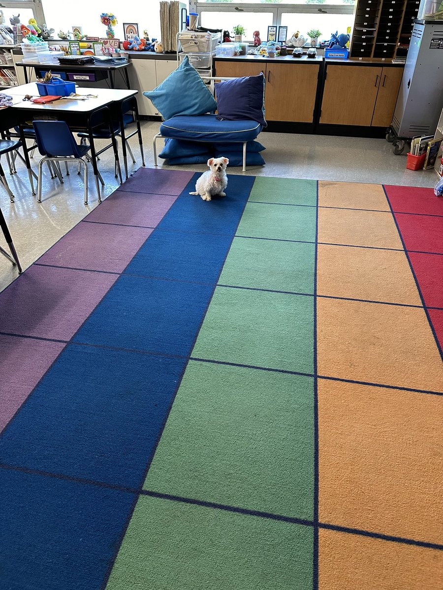 Jessica Contratto tweet media