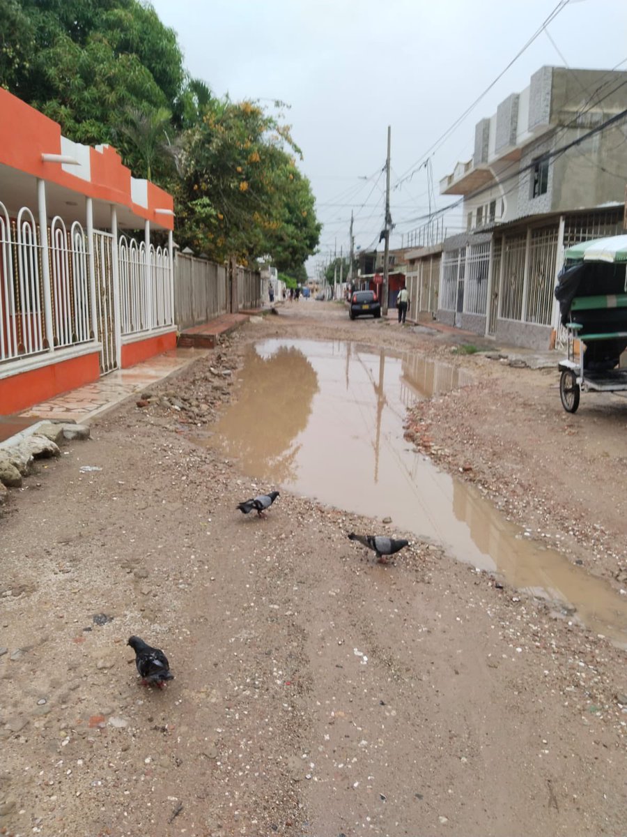 PDA_Atlantico's tweet photo. #ElPoloInforma 📢

🟡Desde el concejo de Barranquilla los cabildantes del Polo Democrático Alternativo Recer Lee Perez Torrez y Antonio Bohórquez Collazos han logrado la pavimentación de 188 calles en Barranquilla. 

@Recerleeperez @AntonioBohrquez 
Aquí te contamos 
⬇️ https://t.co/SaB4wleVFj