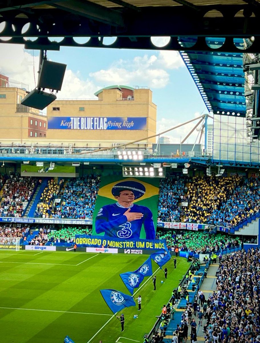 _z2ll's tweet image. 💙💛✨