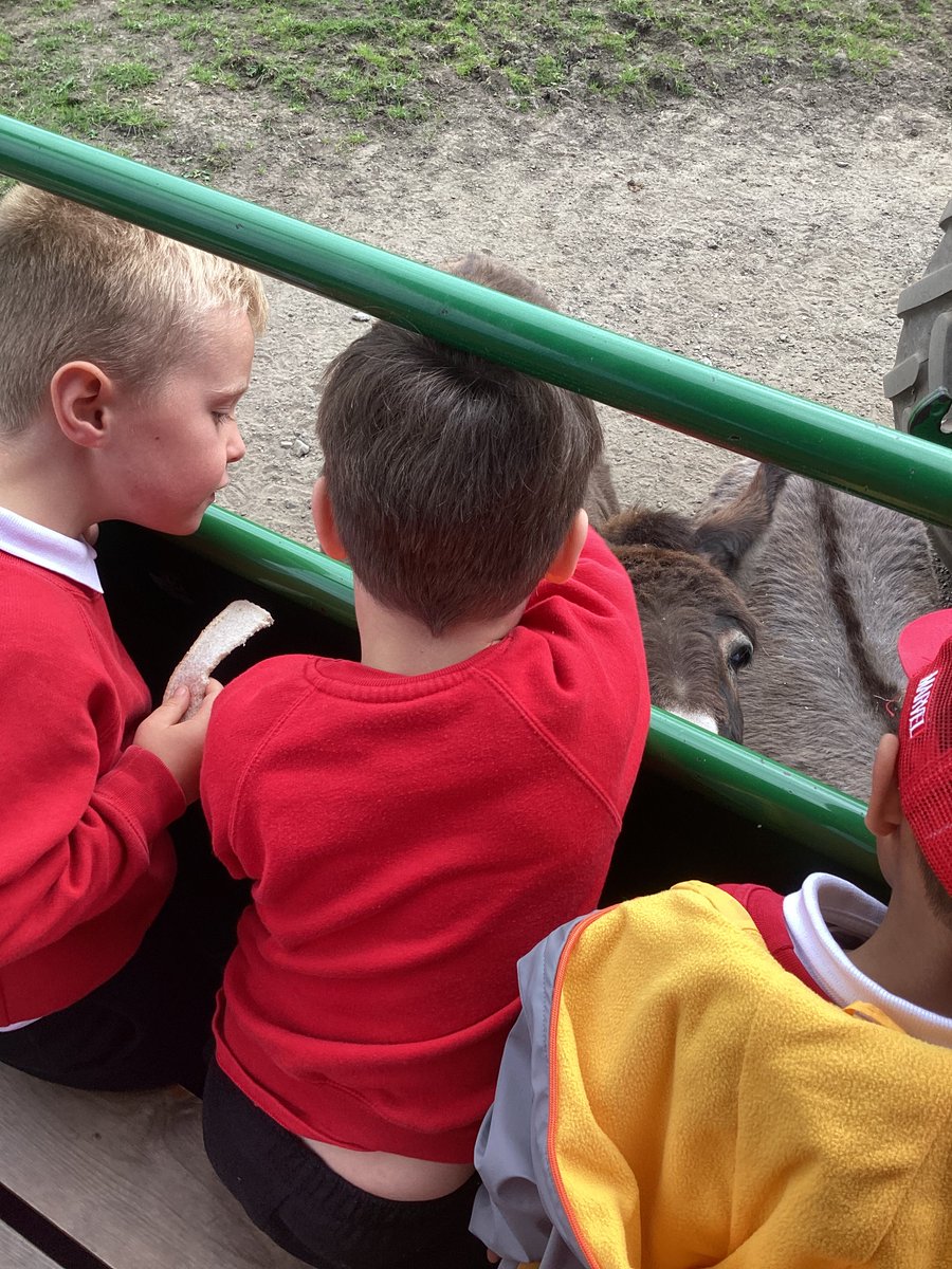 Mrs Hamilton tweet media