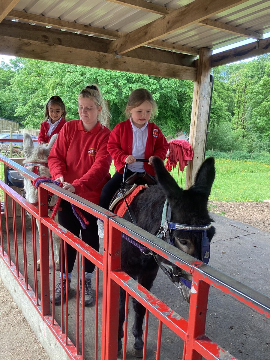 Mrs Hamilton tweet media