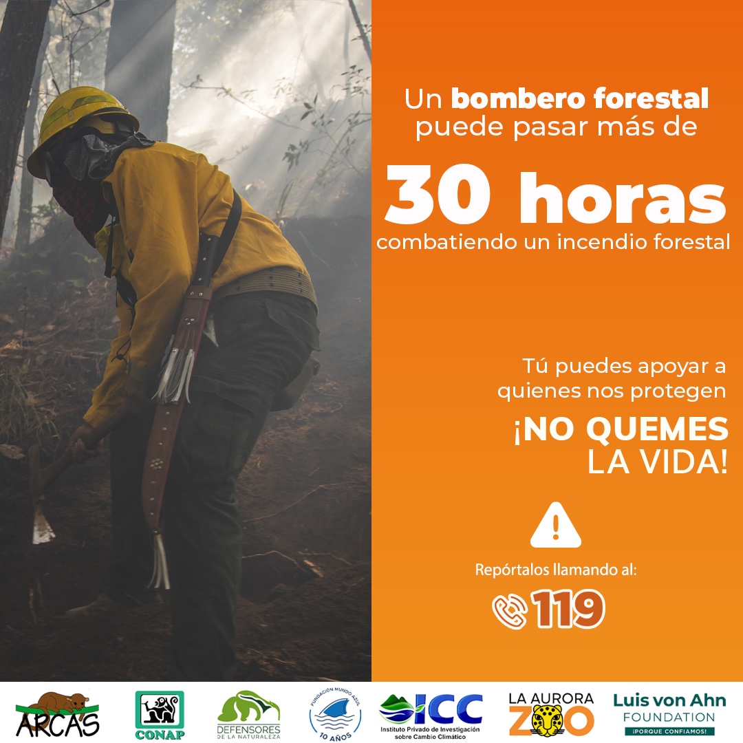 Un bombero forestal puede pasar más de 30 horas combatiendo un #IncendioForestal.  #NoQuemesLaVida  Repórtalos al ☎ 119.  ¡Valoremos nuestra #GuatemalaMegadiversa!  #PrevenirEsConservar #ÁreasProtegidasGT  #DiversidadBiológica #ALTOalosIncendiosForestales