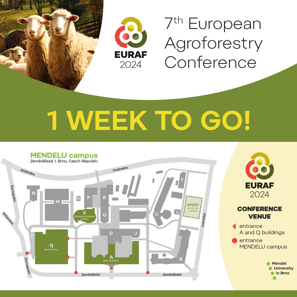 🌱 Only one week left until we meet at the Agroforestry Conference #euraf2024. 👉Detailed program available on our website. See you in Brno! 🤗 @Agroforestry <a href="/EUgreenresearch/">EU green research</a> <a href="/EUAgri/">EU Agriculture🌱</a>