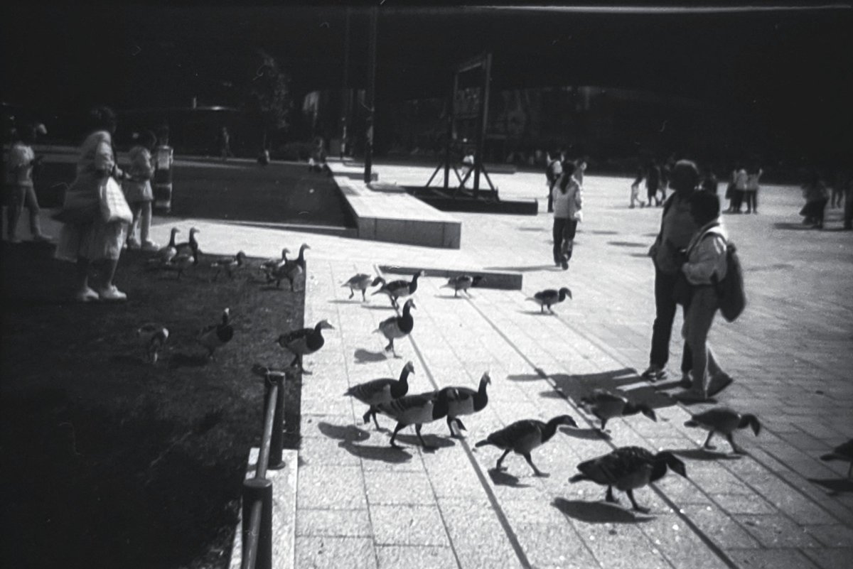 Smena Symbol, T-43, 40mm f4, Film Washi A. Adox XT-3, 5min30sec. #analogphotography #film #35mm #streetphotography #yousawscenes #IStillShootFilm #ShootMoreFilm #BuyFilmNotMegapixels #BelieveInFilm #FilmIsNotDead #FilmIsAlive #写真好きな人と繋がりたい #ファインダー越しの私の世界