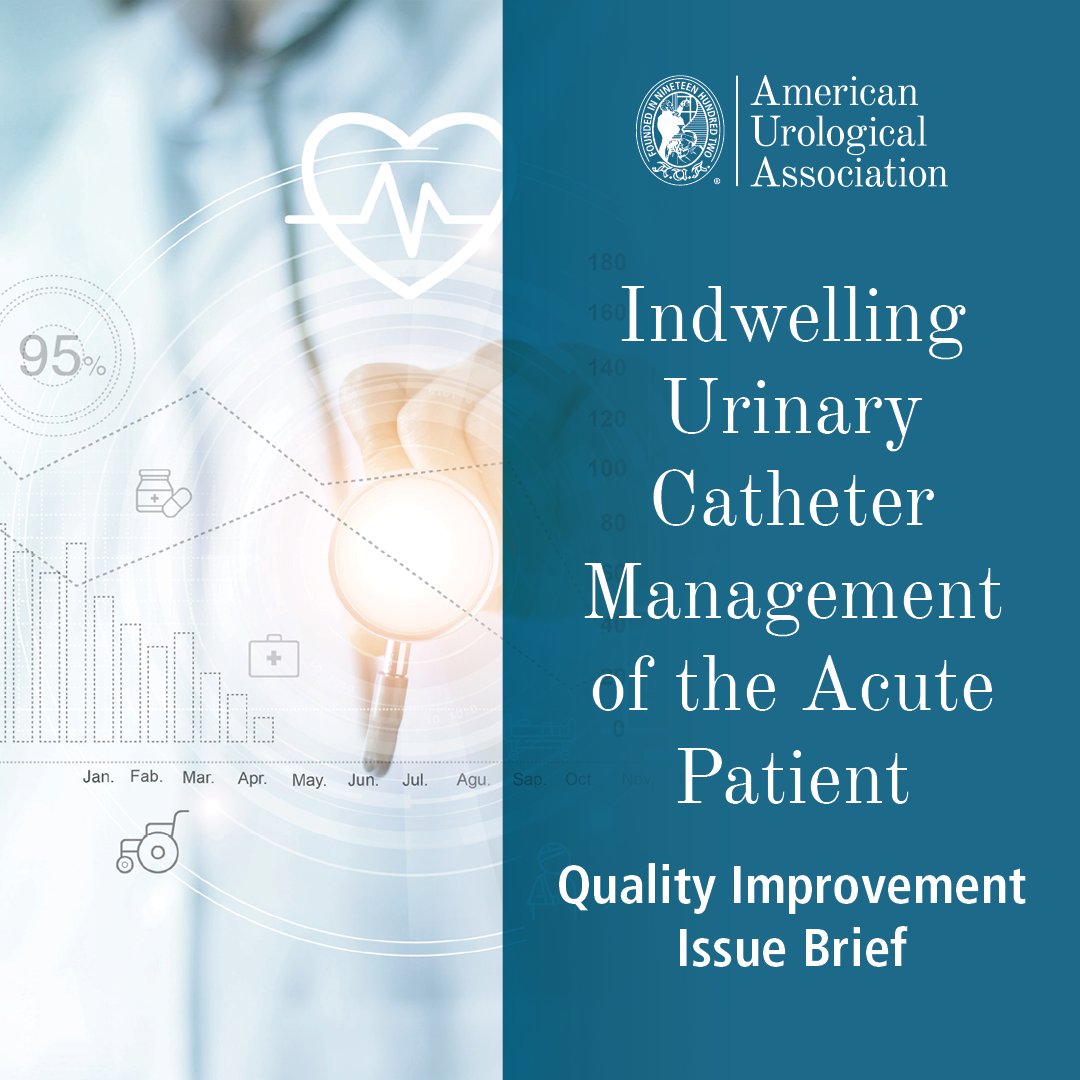 Check out the new Quality Improvement Issue Brief on Indwelling Urinary Catheter Management of the Acute Patient!

Click here ➡️ bit.ly/3vYlYwy

#AUA #Urology #AUAMembers