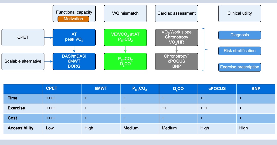 Reassessing perioperative cardiopulmonary exercise testing: point-of-care cardiac ultrasound and end-tidal pressure of carbon dioxide measurement for scalable individualised risk assessment bjanaesthesia.org/article/S0007-…