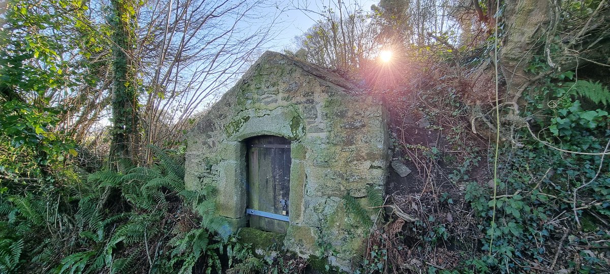 Uncover the enchantment of St. Leonard's Well in Dunster! A hidden gem rich in history, believed to date back to the 14th-15th century. #Dunster #StLeonardsWell #DunsterInfo