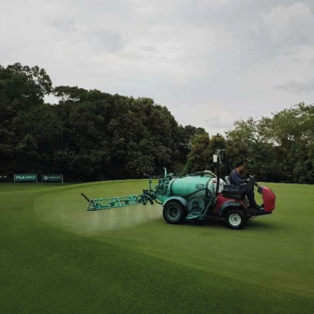 Indigrow tweet media