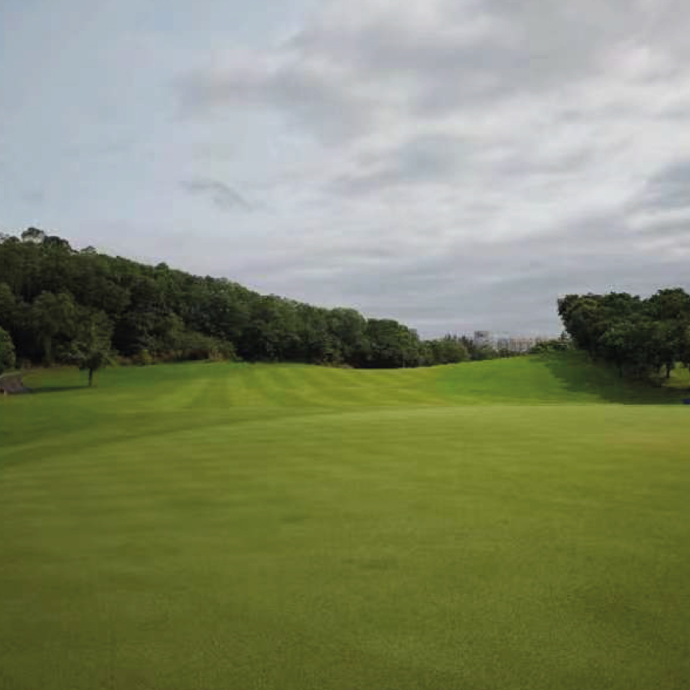 Indigrow tweet media