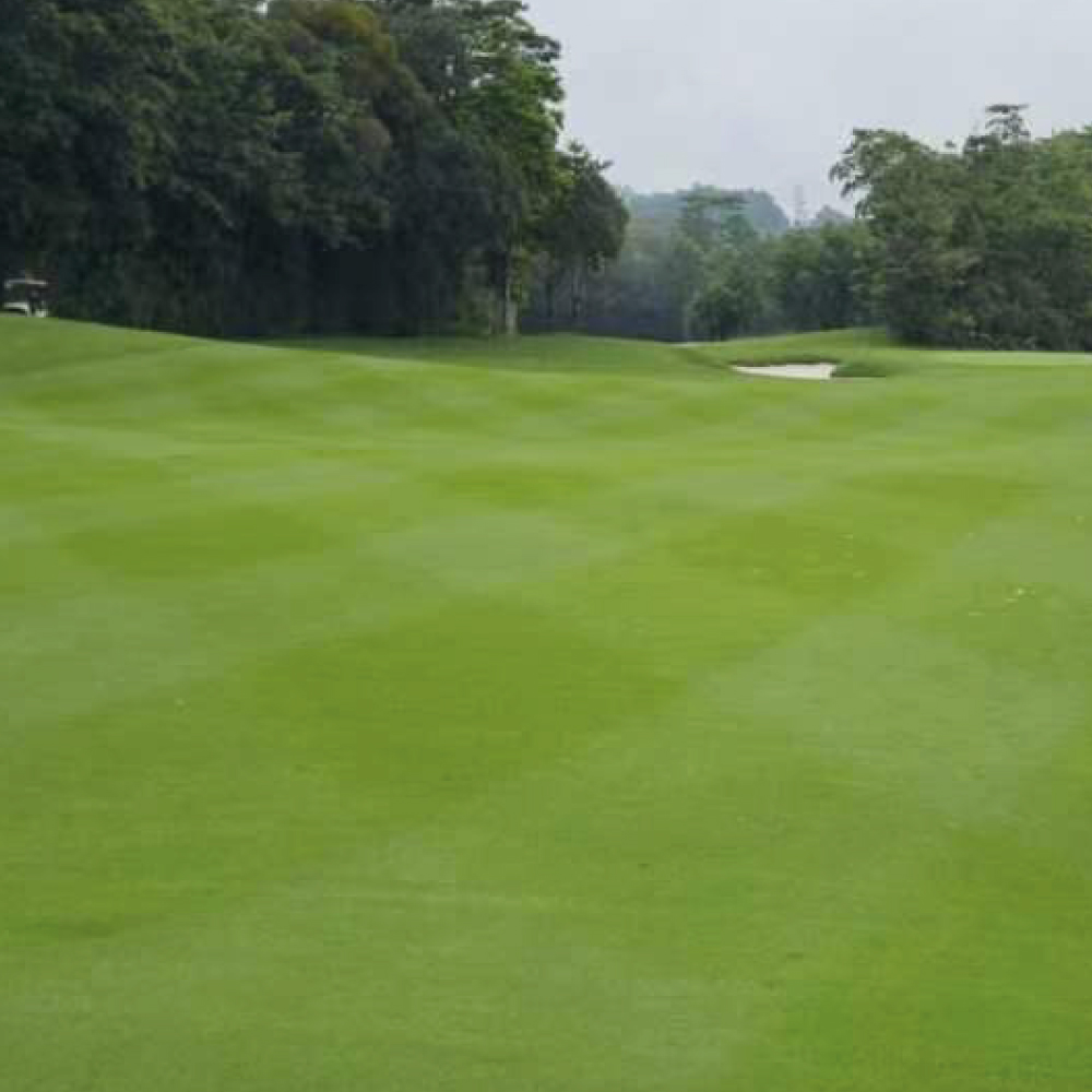 Indigrow tweet media