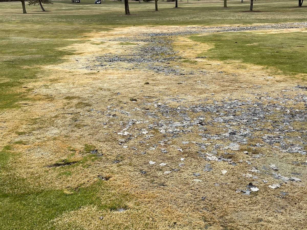 Golf course superintendents- please take a few moments to fill out this (short!) survey. z.umn.edu/winter-damage

Whether you saw #WinterTurf damage or not, all feedback helps us develop solutions to reduce future winter injury risk.

Retweets welcome & appreciated!