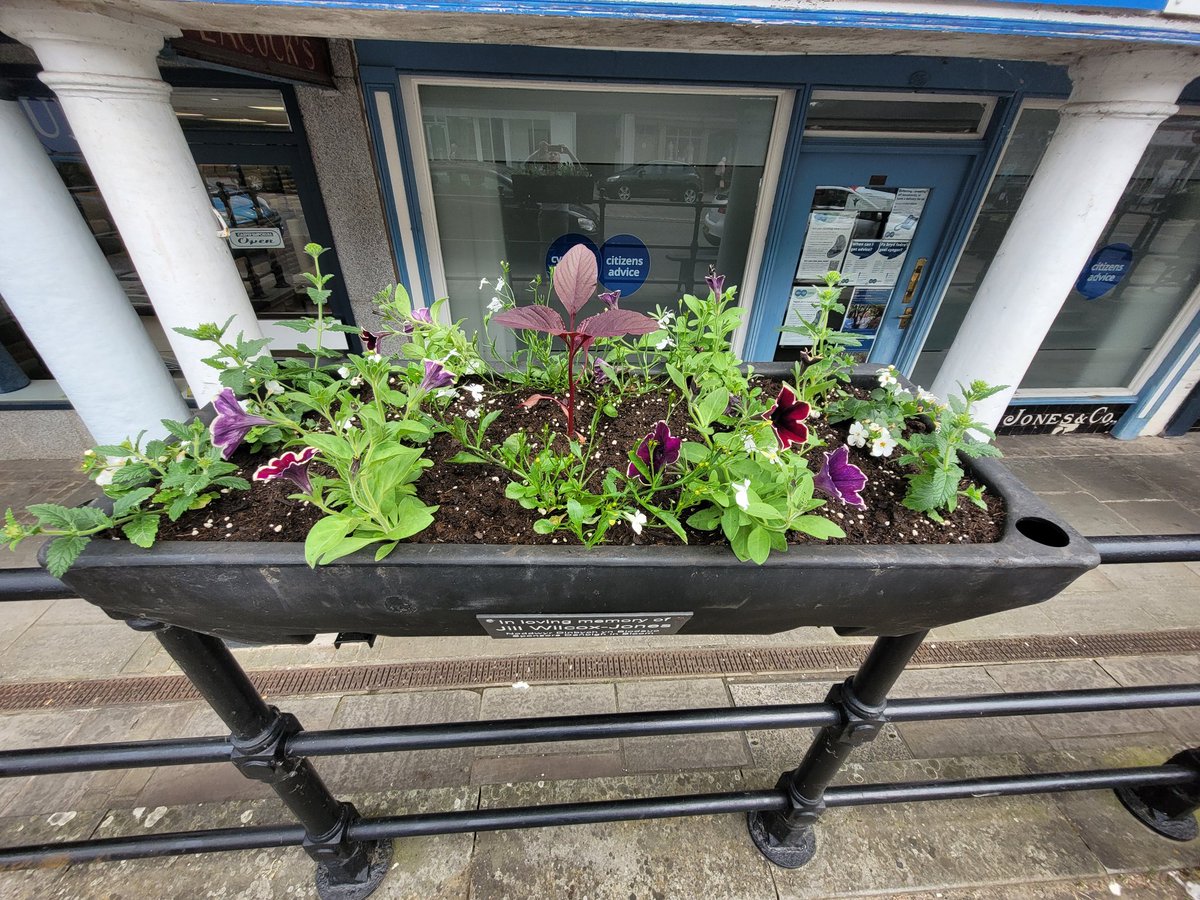 Denbighinbloom's tweet photo. This year's planting scheme for the railing baskets.
We thought this year, given that we are having a break from comps, would be an excellent opportunity to trial new drought tolerant planting....also less deadheading 🙏🥳
#ourbloom #volunteering #Denbigh #Dinbych https://t.co/uDG43BEvFi