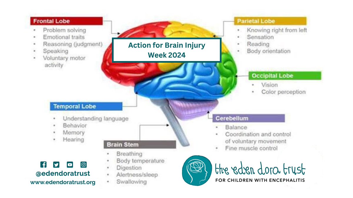 It’s #actionforbraininjuryweek and we are joining 
@HeadwayUK  in this year’s campaign  “A Life Re-written”!
Brain Injury can affect anyone at anytime, radically altering lives, plans, life goals & everything that was 'meant to be'! 🧠💙

#ABIWeek #ABIWeek2024 #Encephalitis #ABI