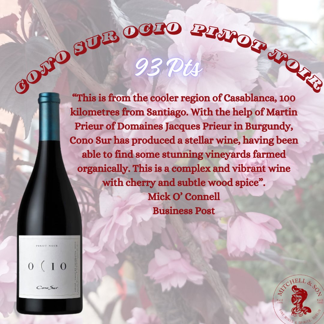 Have you tried this fantastic Cono Sur 'Ocio' Pinot Noir? Shop now online or instore. 
loom.ly/rRg8HNA
<a href="/businessposthq/">Business Post</a> @dubcham @Cavsitons @wine_philosophy @sandycoveglast1