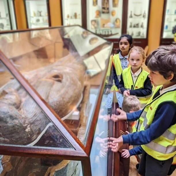 Year 2 had a fantastic trip to Eton College Natural History Museum, as part of their Jurassic Forest topic. They experienced a guided Gallery visit and took part in a Dinosaur 🦕 and Fossil workshop! Thank you to @EtonCollections for showing us your incredible exhibits 😃