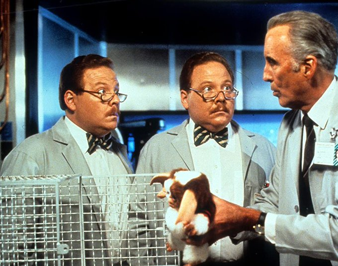 Stephen Gibbons tweet media