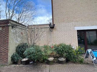 SeaccFulham's tweet photo. Fancy doing a bit of #gardening at Sands End Arts &amp; Community Centre, to help us keep it looking good this #summer? Come &amp; join our #garden #club led by Lucy, our #gardener. Weekly sessions; tools &amp; refreshments supplied. Details https://t.co/eXZrjdzMer #volunteering #seaccfulham https://t.co/zqACerzNaP
