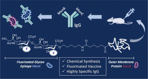 A Fluorinated Sialic Acid Vaccine Lead Against Meningitis B and C @J_A_C_S #Chemistry #Chemed #Science #TechnologyNews #news #technology #AcademicTwitter #ResearchPapers pubs.acs.org/doi/10.1021/ja…