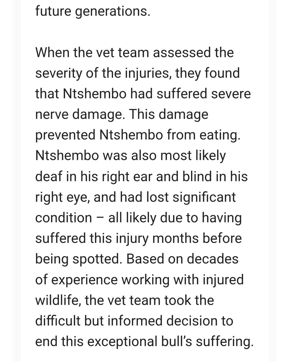 #SouthAfrica very sad news indeed, the Kruger National Park region has lost one of it’s emerging #elephant tuskers: Ntshembo - RIP gentle giant😢 #EndangeredSpecies Info & 📸 via: africageographic.com/stories/commen…