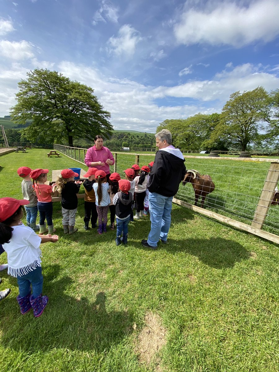 olvschool's tweet photo. We are feeding the goats and giving them a stroke. They are very excited! @bcw_cat #OLVEYFS https://t.co/yCom6ugih4
