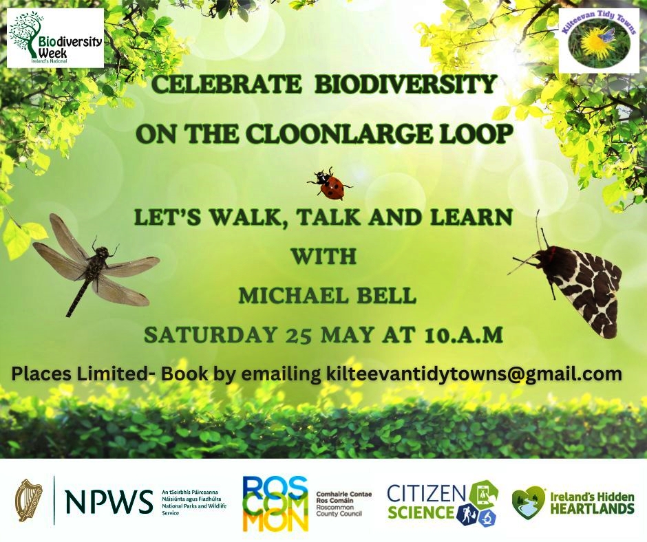 Saturday 25th May @ 10am: Celebrate Biodiversity on the Cloonlarge Loop, with Michael Bell. Meet at Kilteevan Community Centre: Free but booking required by email to kilteevantidytowns@gmail.com. Not suitable for small children. #LBAF #roscommonheritage #loveyourheritage