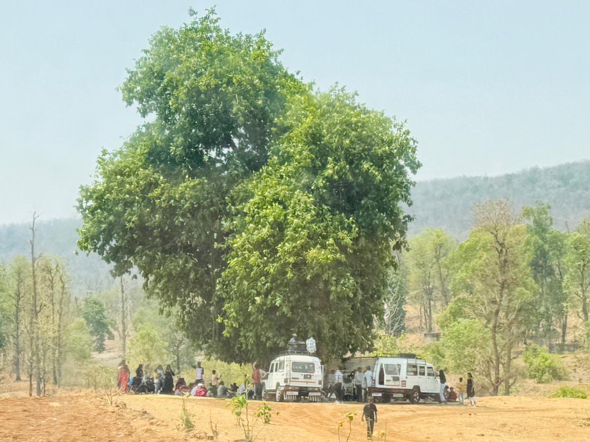 DCF South Dang tweet media