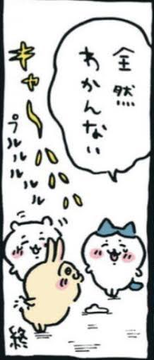 複素共役 