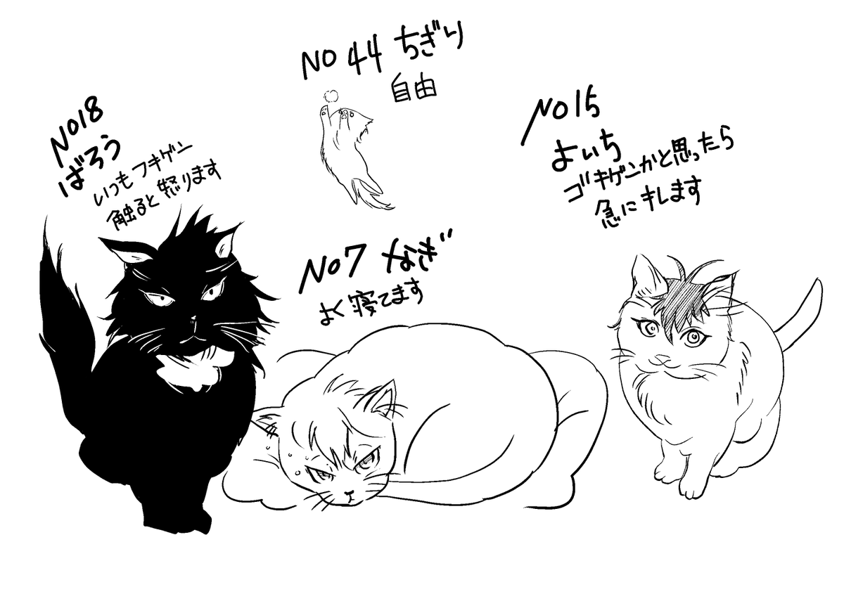 超らくがき
猫カフェ ちーむほわいと 