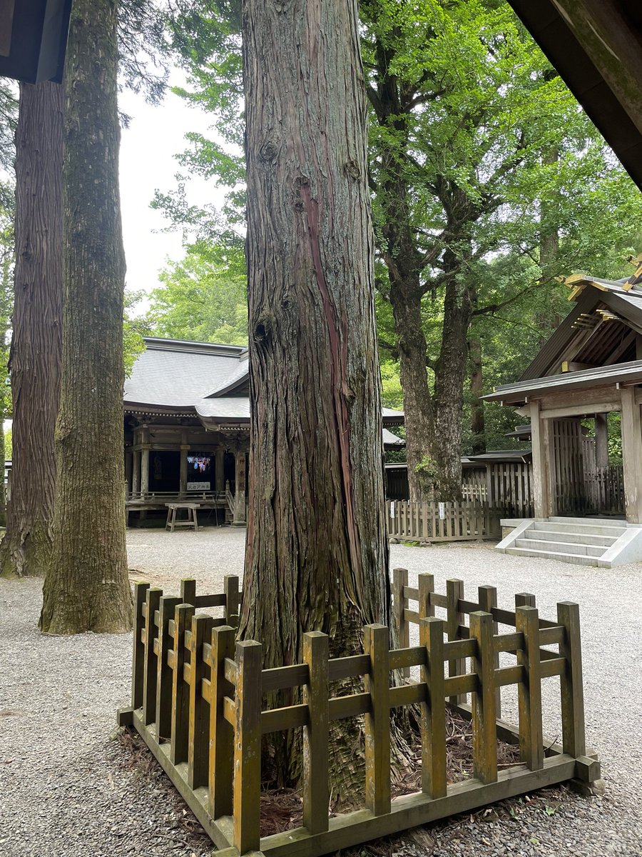 天安河原✨✨✨
オーラが光っている人いました✨✨✨
オモイカネノミコトさまはいらっしゃらなかったようです😊