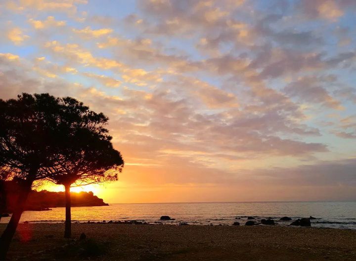 Bon cap de setmana des de la Platja de Baconé!

+info l'Ampolla: bit.ly/3rmXmai

Foto by maddartphotography 
#lAmpolla #TerresdelEbre #ReservadelaBiosfera #CatalunyaExperience

@terresebretur
@catexperience