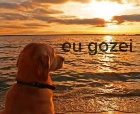 alislison69's tweet photo. roubei a caneta do mlk q tinha roubado a minha #tudonossonadadeles #direitosiguais #karlmax https://t.co/BFP1VsdZAb