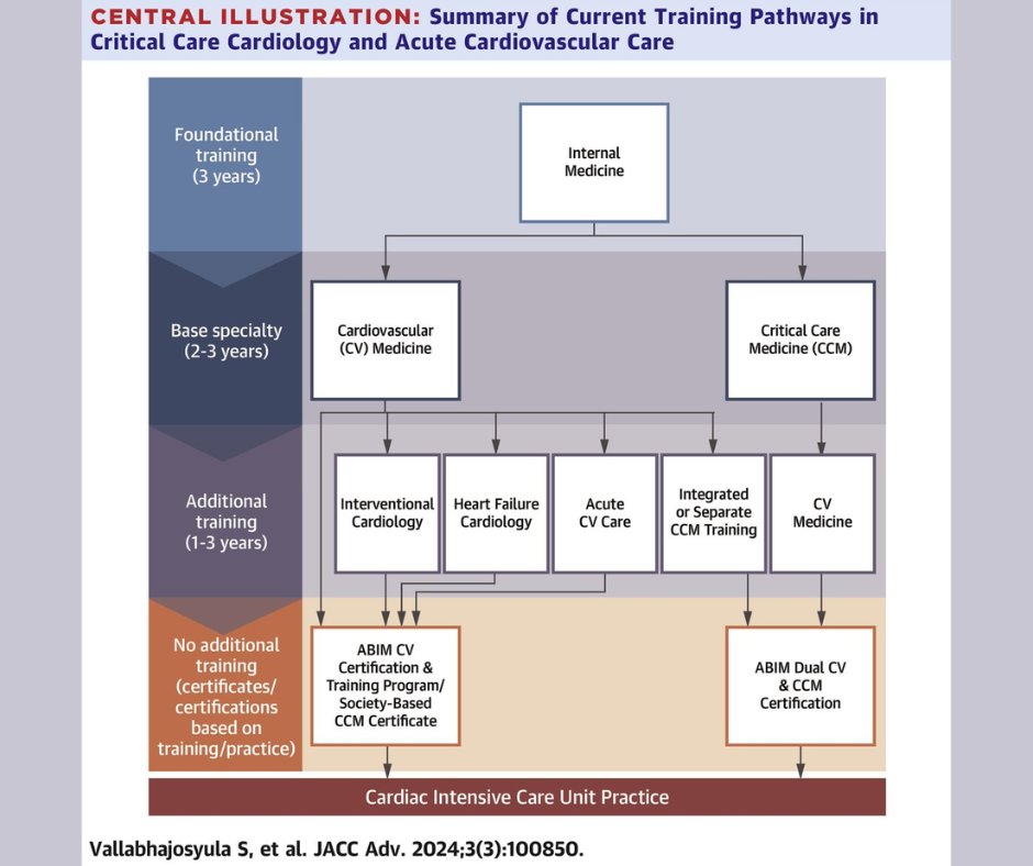 Thinking of a career as a critical care cardiologist? Read about the multiple training pathways or listen to advice from the experts, @JasonKatzMD, @ShashankSinhaMD, & @docbhardwaj on the #JACCAdvances Pulse. #ACCFIT 📎: bit.ly/3Uk5NTH 🎧: bit.ly/49viCi0