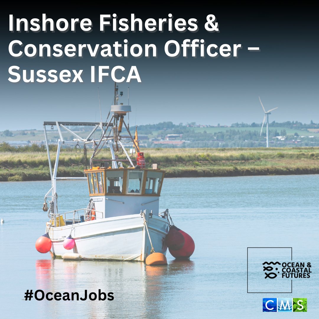 🔔new #job: Inshore Fisheries & Conservation Officer – @sussex_ifca
▪️Closes: 21 June
▪️Location: West Sussex, England
▪️Salary: £25k-£28k
▪️Full details 👉cmscoms.com/?p=39283 

🔍Sign up for our #OceanJobs emails here 👉 bit.ly/3MiyV7i

#hiring #vacancy